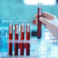 Общеклинические и биохимические исследования